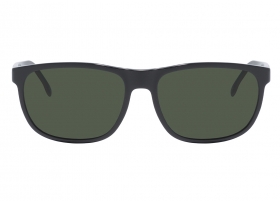 Очки Carrera C FLEX 08-GS 807