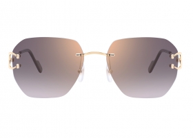 Очки Cartier 0394S 001