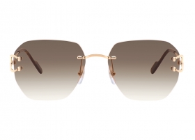 Очки Cartier 0394S 002
