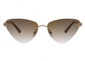 Очки Cartier 0399S 002