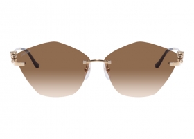 Очки Cartier 0429S 002