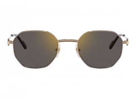 Очки Cartier 0500S 001