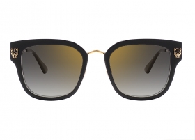 Очки Cartier 0509SA 001