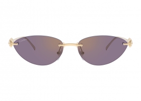 Очки Cartier 0543S 004 Очки Cartier 0543S 004