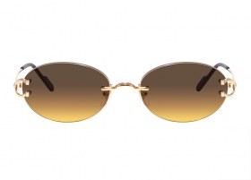 Очки Cartier 0551S 009