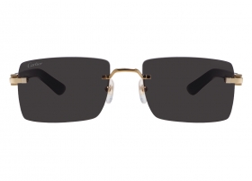 Очки Cartier 0579S 005