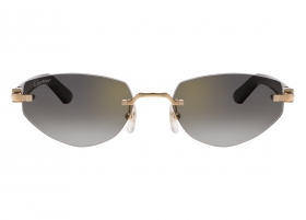 Очки Cartier 0580S 001 Очки Cartier 0580S 001