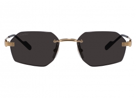 Очки Cartier 0616S 001