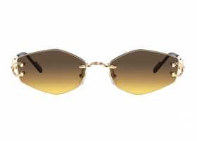 Очки Cartier 0620S 003