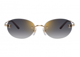Очки Cartier 0642SA 001