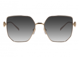 Очки Cartier 0645S 001