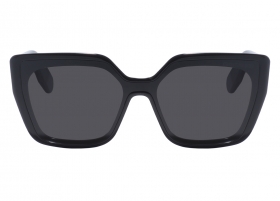 Очки Dior Lady 95 22 S2I 10A0