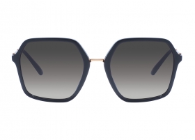 Солнцезащитные очки Dolce&Gabbana 4422 501/8G Солнцезащитные очки Dolce&Gabbana 4422 501/8G