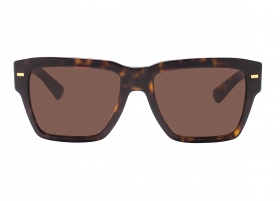 Очки Dolce & Gabbana 4431 502/73