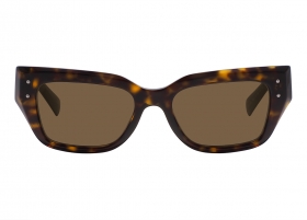 Солнцезащитные очки Dolce&Gabbana 4462 502/73 Солнцезащитные очки Dolce&Gabbana 4462 502/73