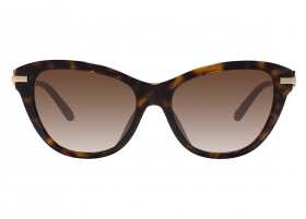 Очки Dolce & Gabbana 4534 502/13
