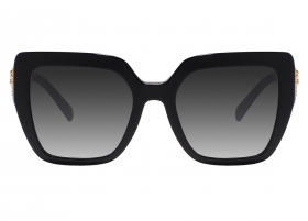Очки Dolce & Gabbana 4538 501/8G