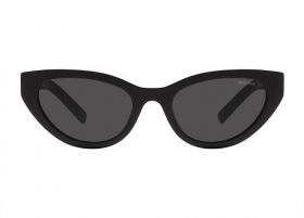 Очки Miu Miu A04S 16K/08Z