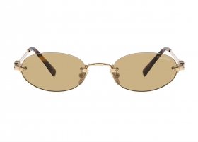 Очки Miu Miu A54S ZVN/10R