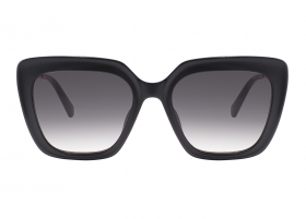 Очки Nina Ricci 379 700