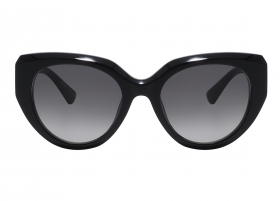 Очки Nina Ricci 404 700