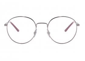 Ray-Ban 3681V 2502 Icons