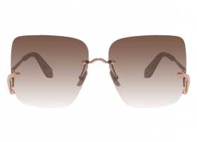Очки Roberto Cavalli 061 8FCG