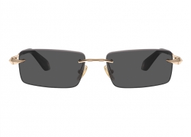 Очки Roberto Cavalli 206M 300 Очки Roberto Cavalli 206M 300
