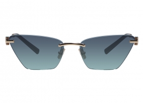 Очки Tiffany & Co 3120 6021/9S