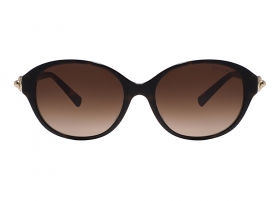 Очки Tiffany & Co 4263D 8134/3B