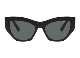 Очки Vogue 5607S W44/81
