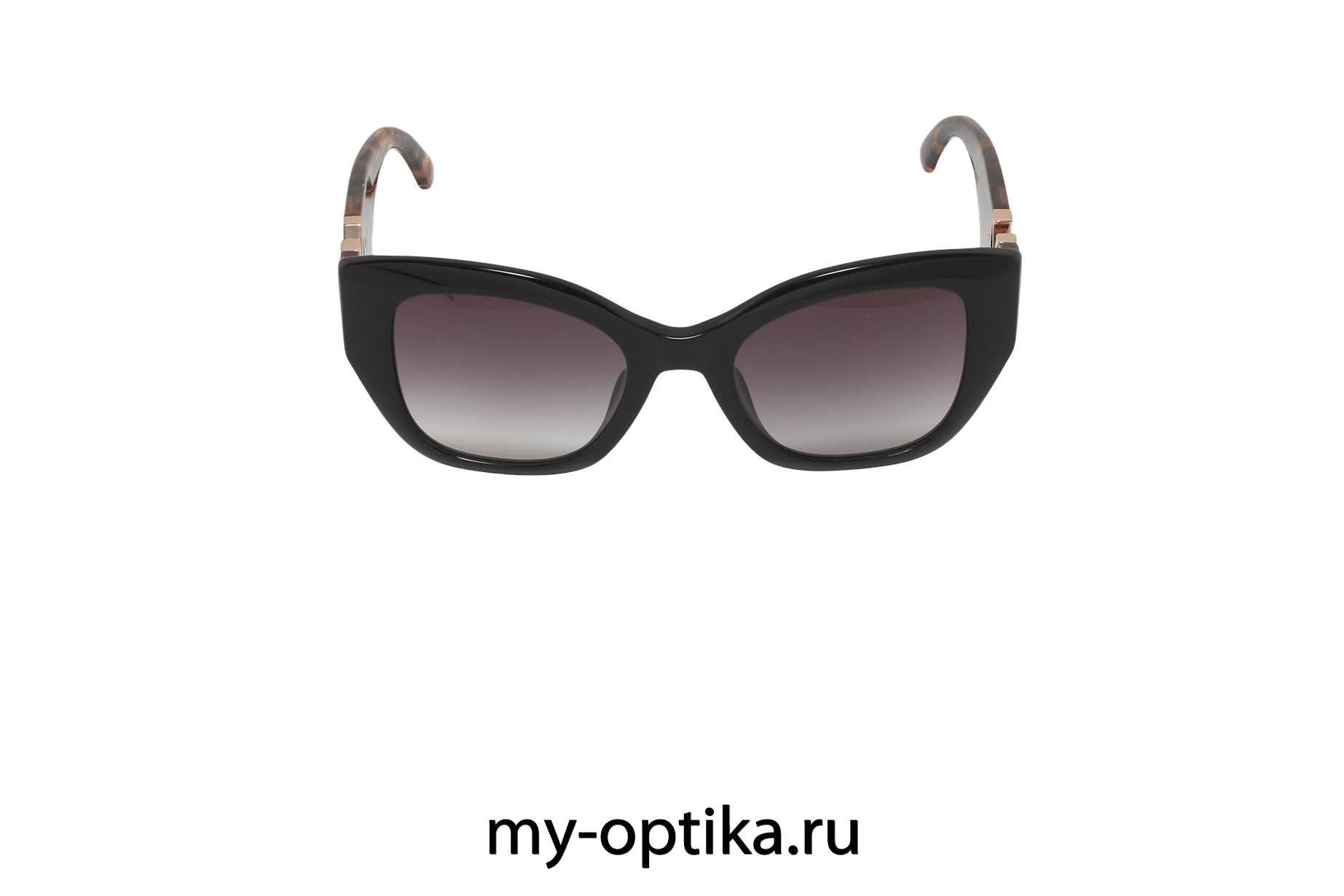 Очки Nina Ricci 377V 700