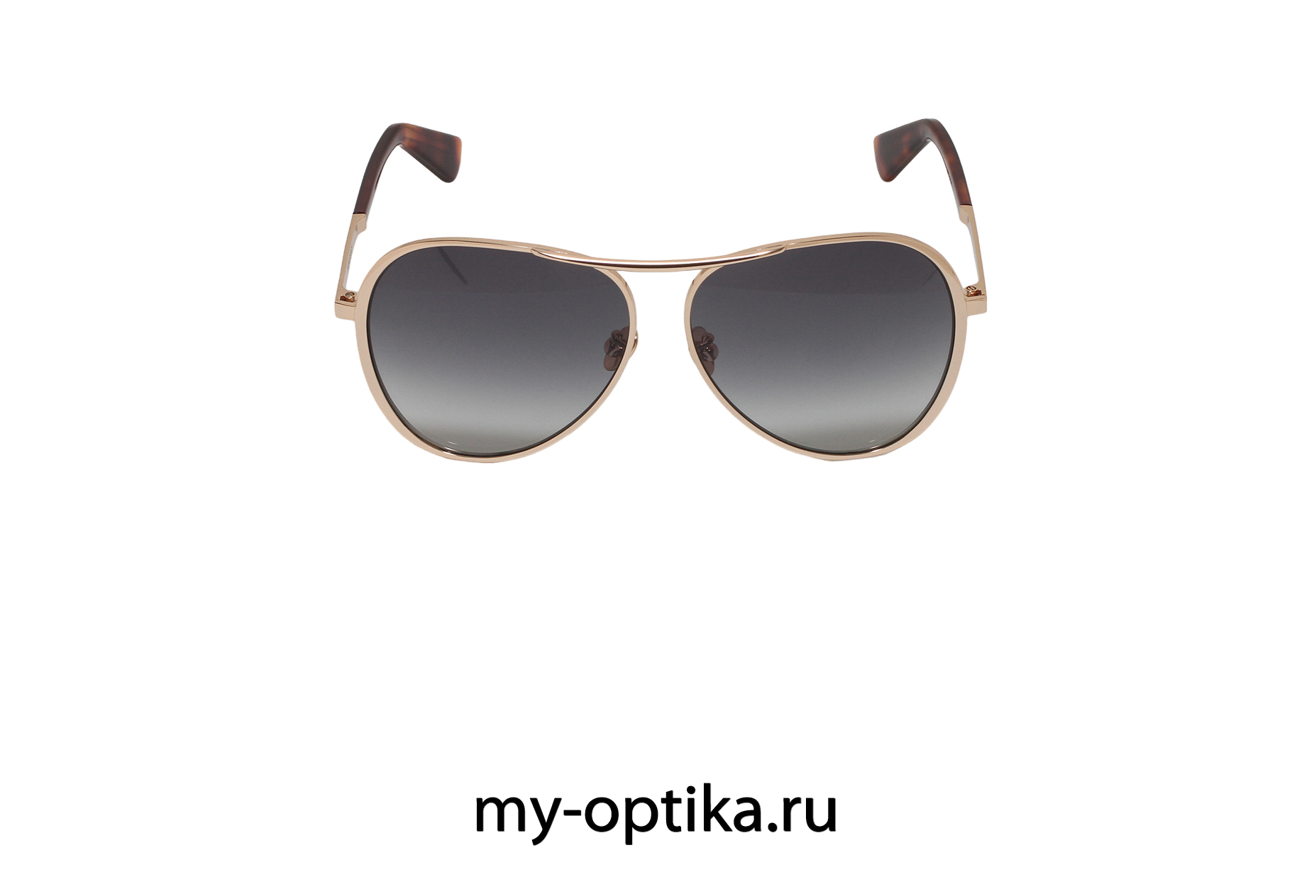 Очки Nina Ricci 407 300