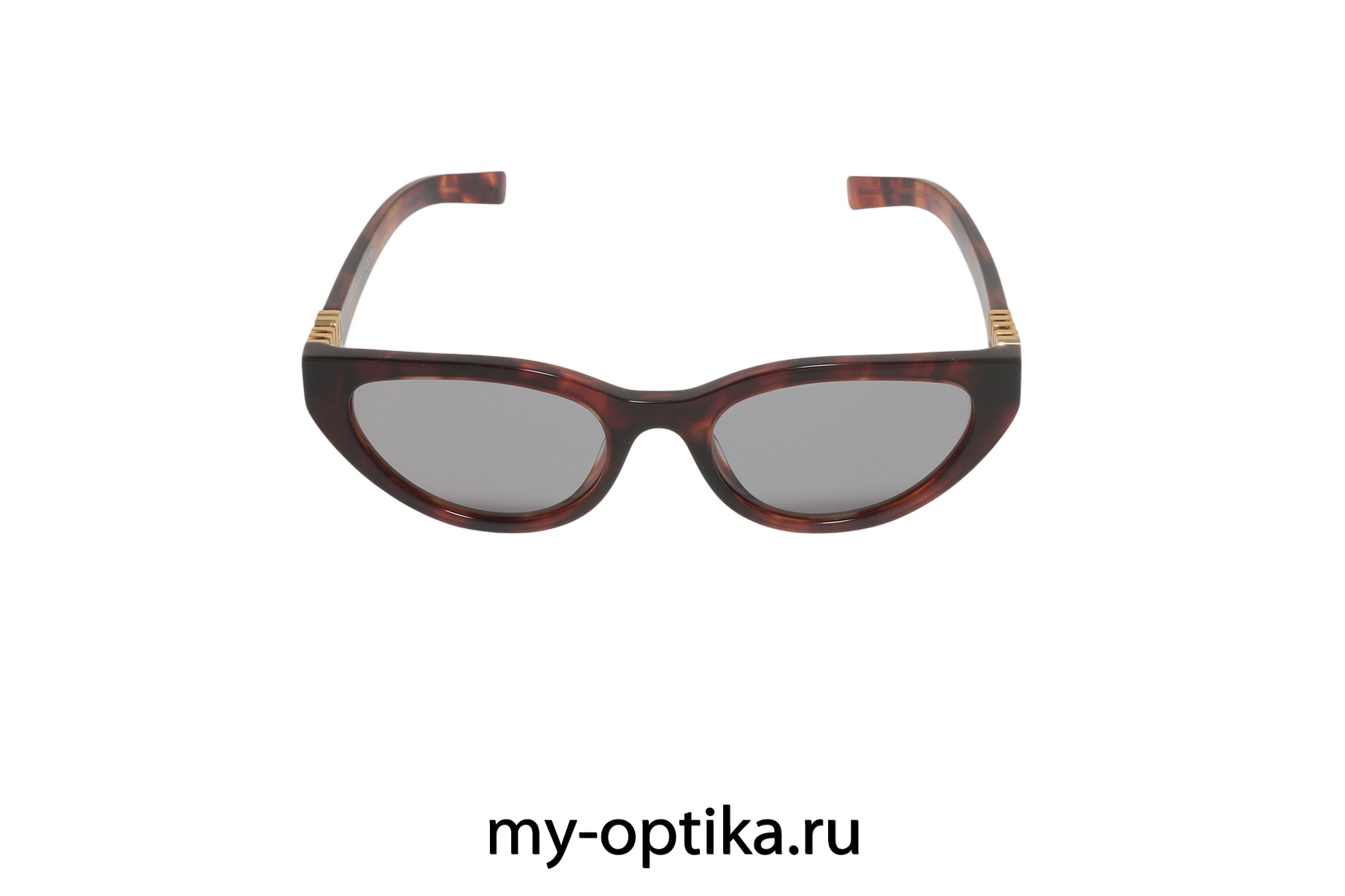 Очки Miu Miu A04S 21C/40O