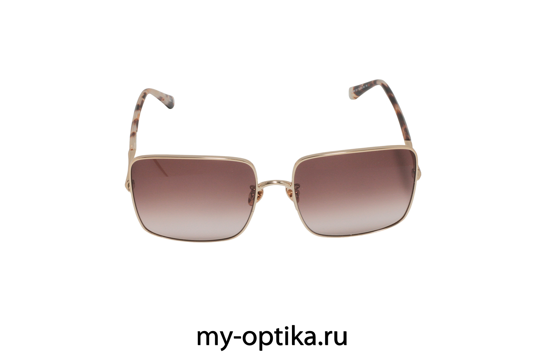 Очки Nina Ricci 483 300J
