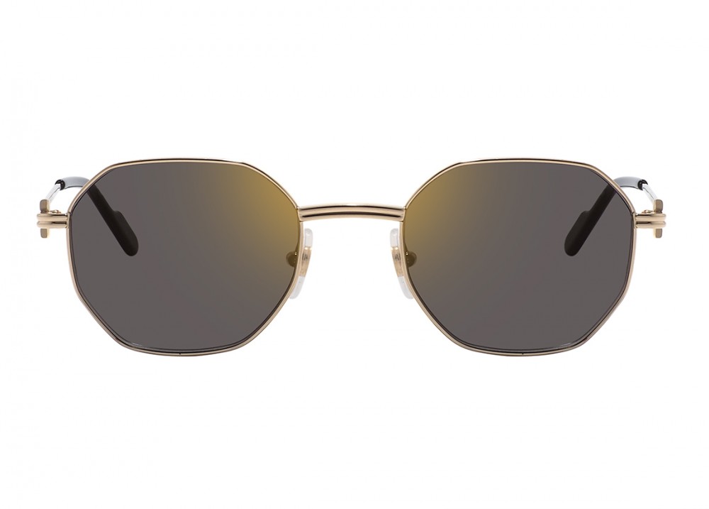 Очки Cartier 0500S 001