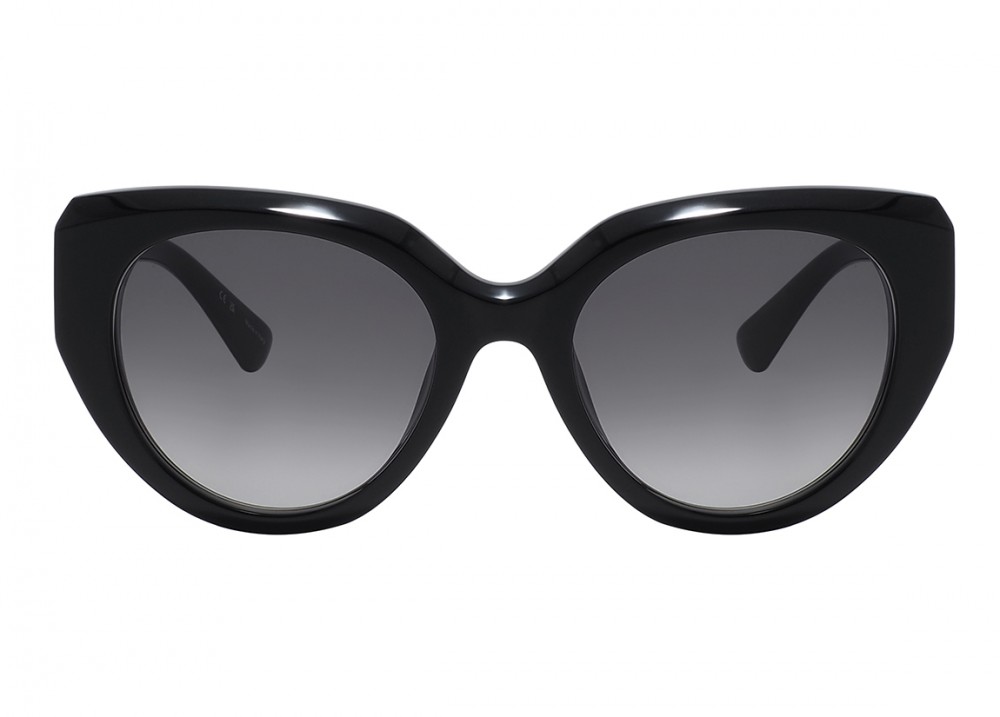 Очки Nina Ricci 404 700