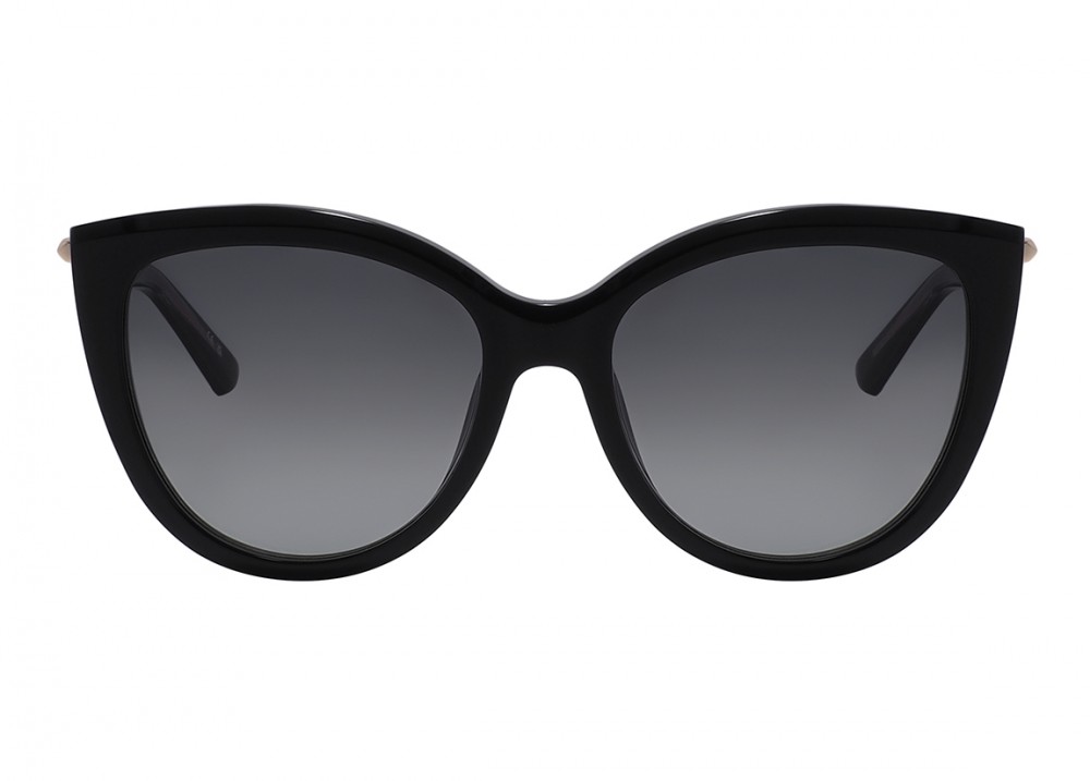 Очки Nina Ricci 437 700Y