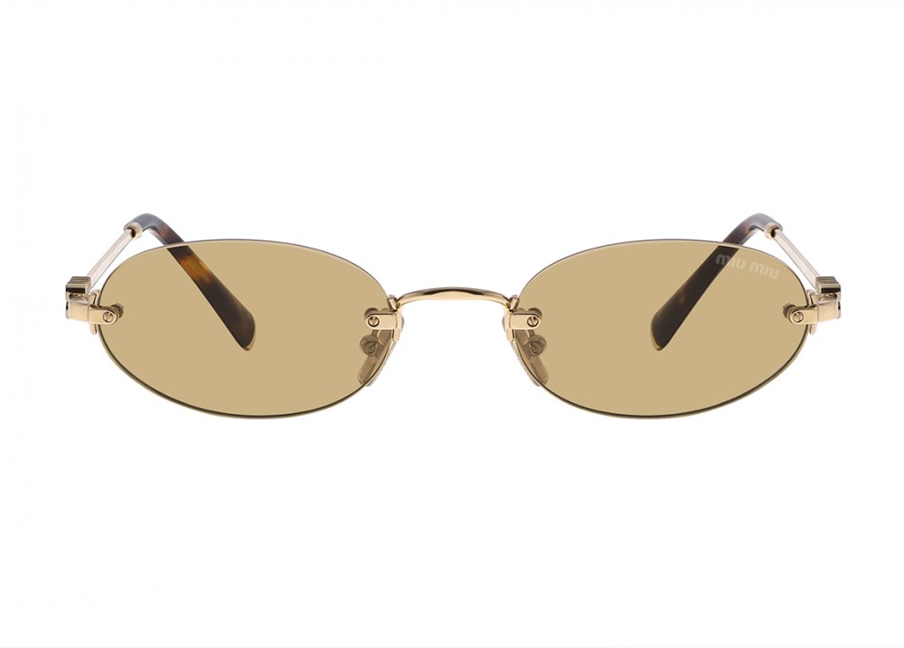 Очки Miu Miu A54S ZVN/10R