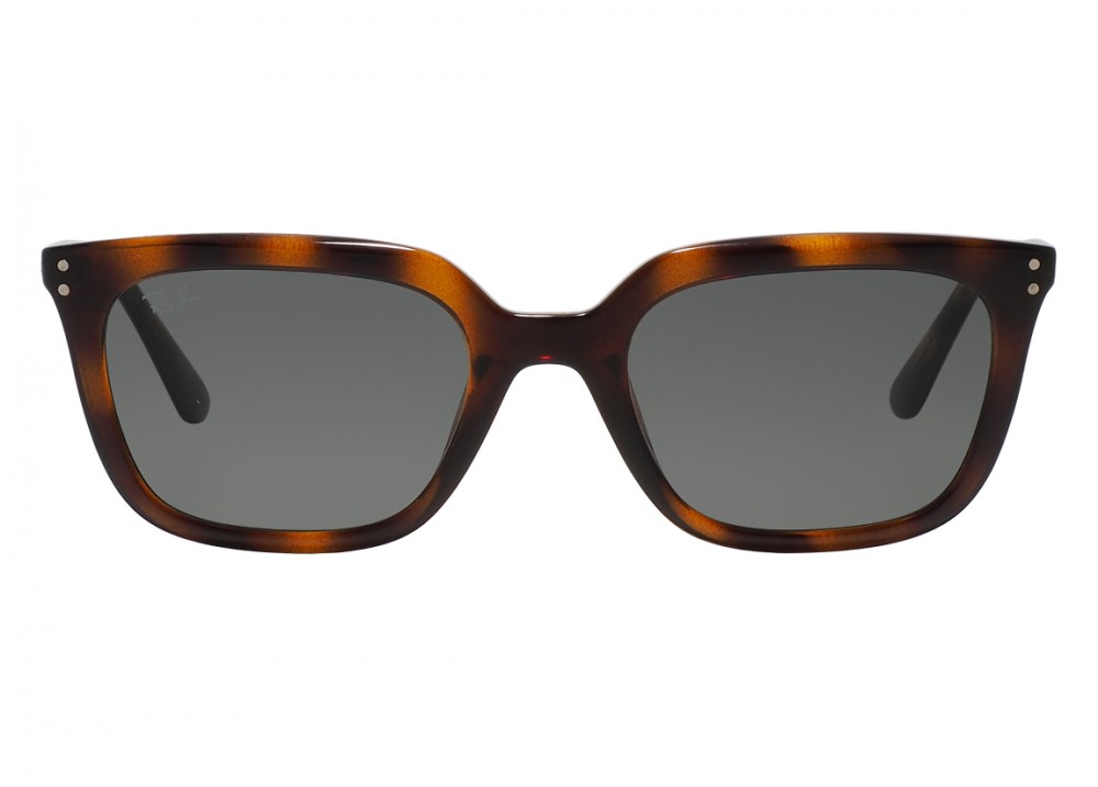 Icons RB 4439D 710/87