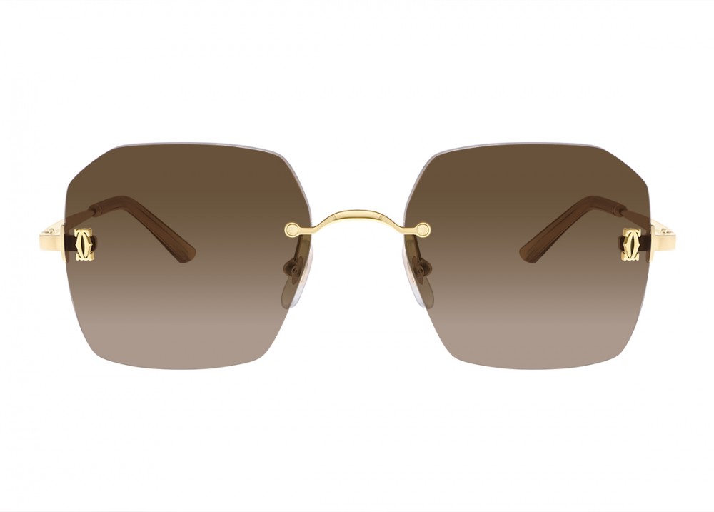 Очки Cartier 0591S 002