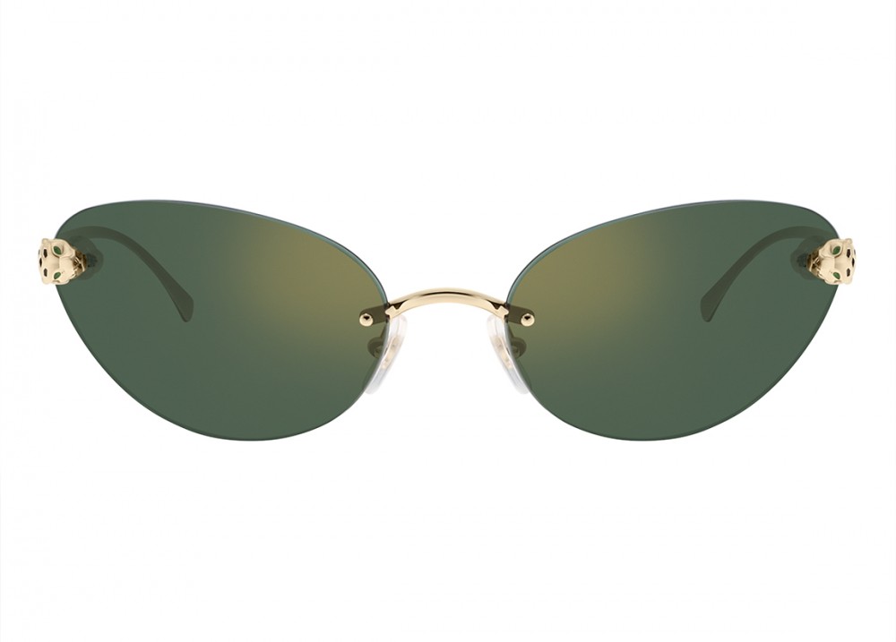 Очки Cartier 0635S 003