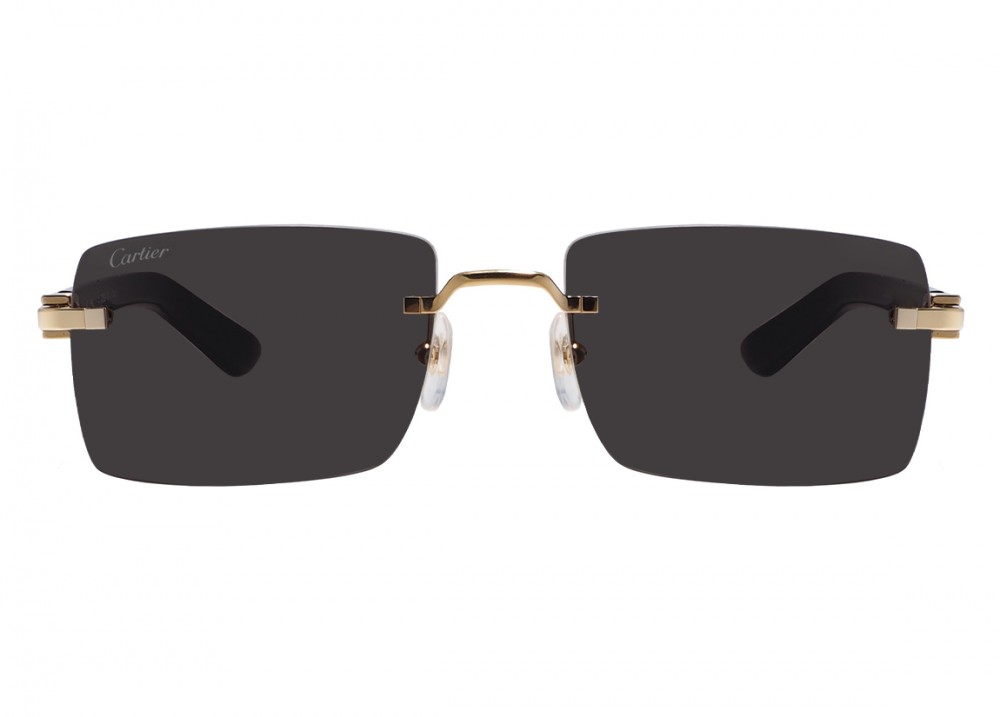 Очки Cartier 0579S 005