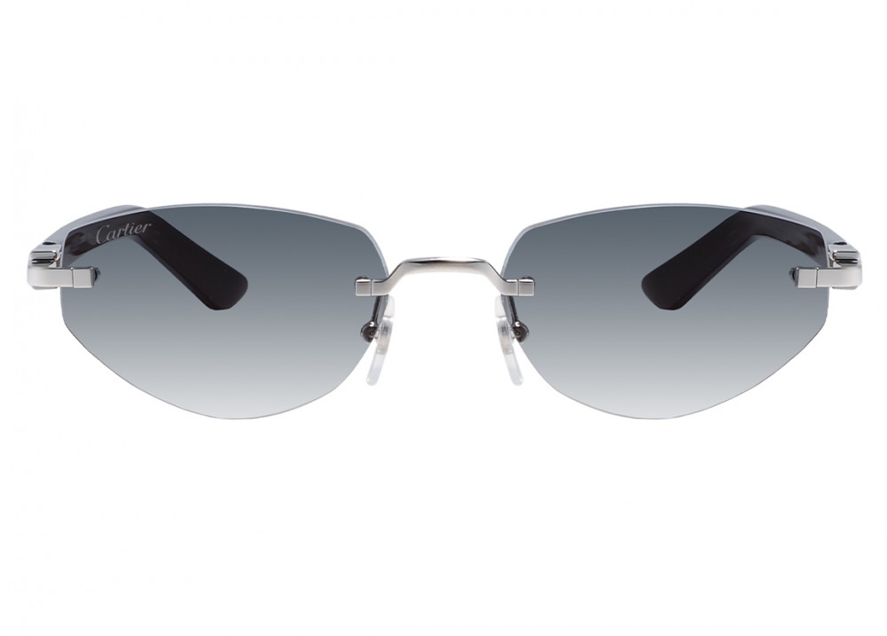 Очки Cartier 0580S 004