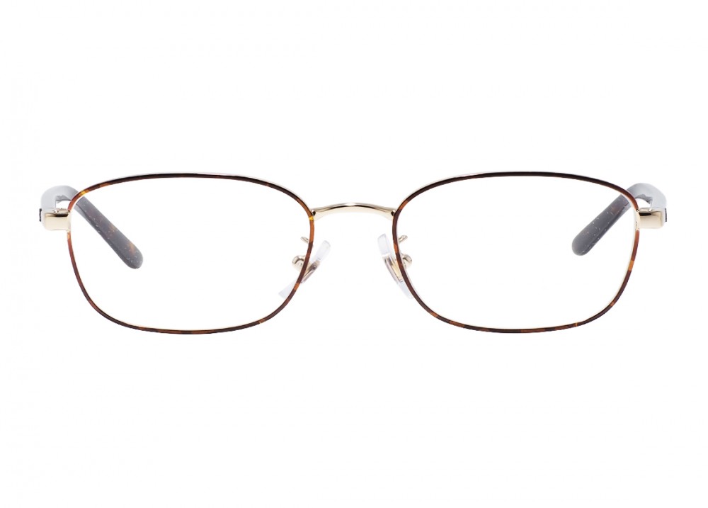 Ray-Ban 6551D 3193 Icons
