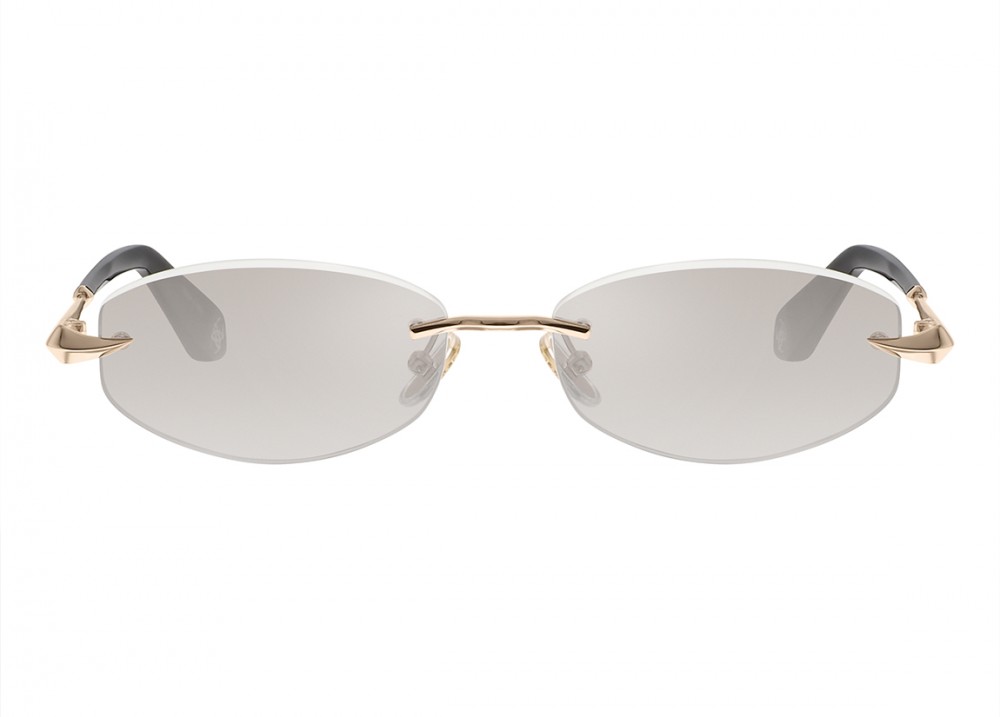 Очки Roberto Cavalli 207M 300X