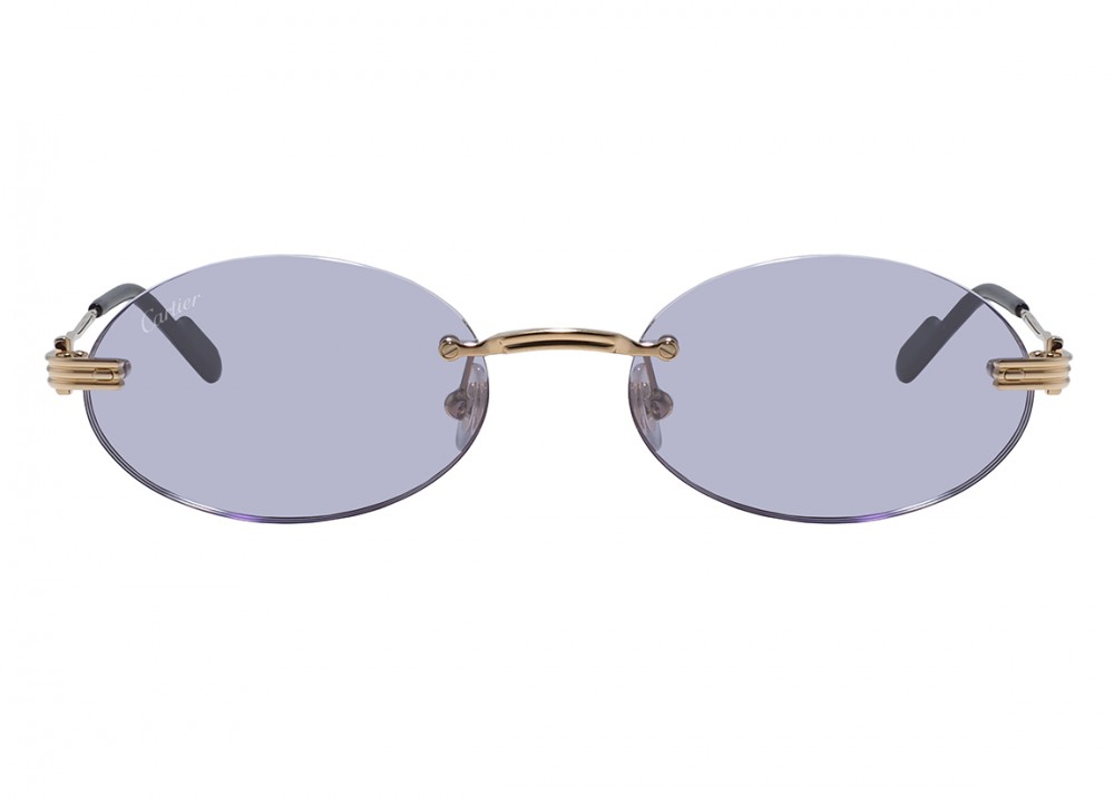 Очки Cartier 0615S 009