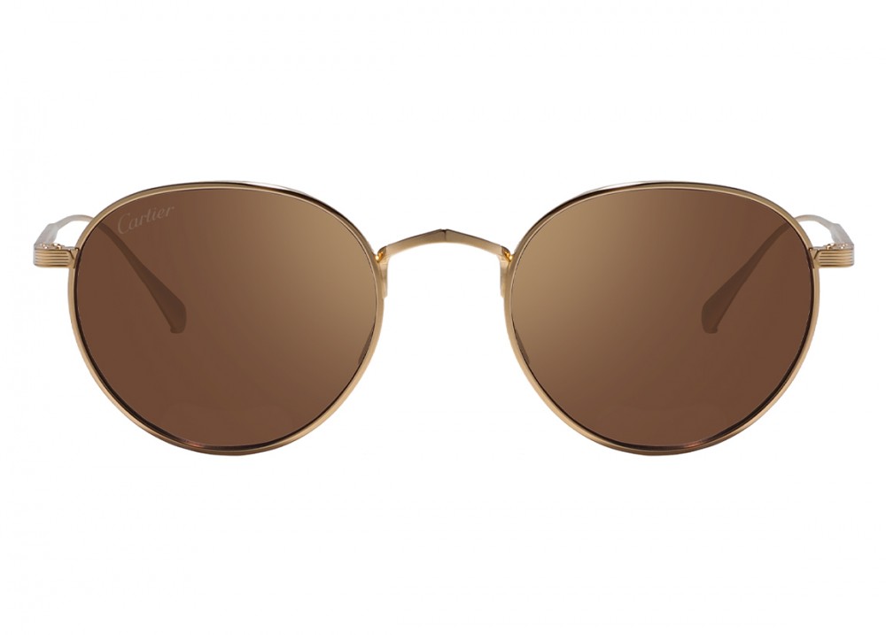 Очки Cartier 0626S 007