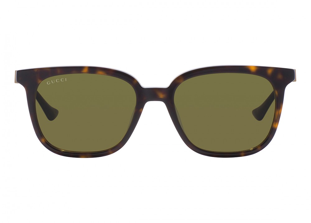 Очки Gucci 1493S 002