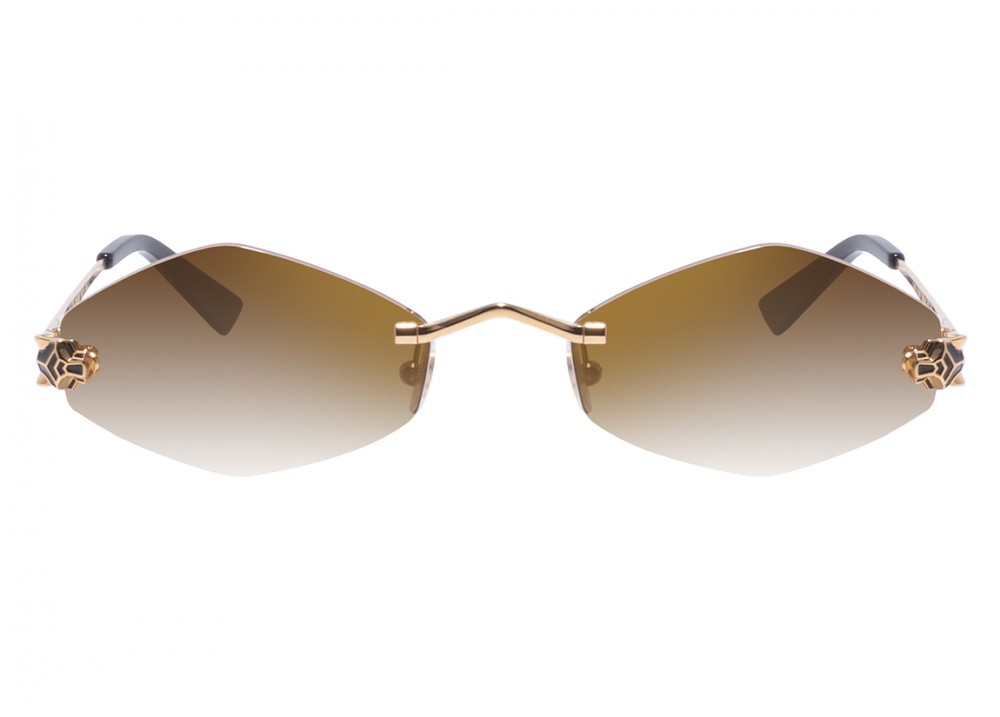 Очки Cartier 0433S 002
